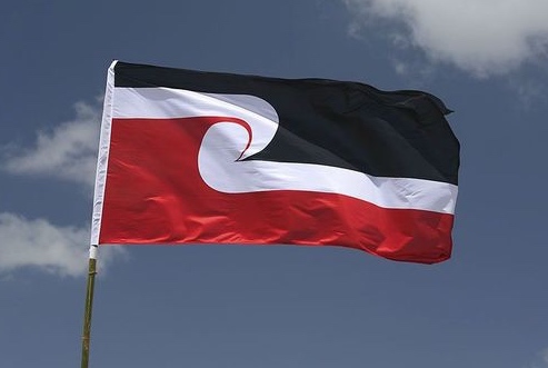 Committed to Te Tiriti: For real or&nbsp;spiel?